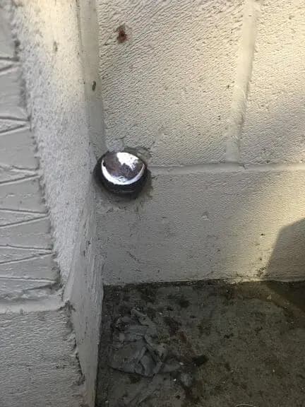 Rodent entry point in exterior wall corner