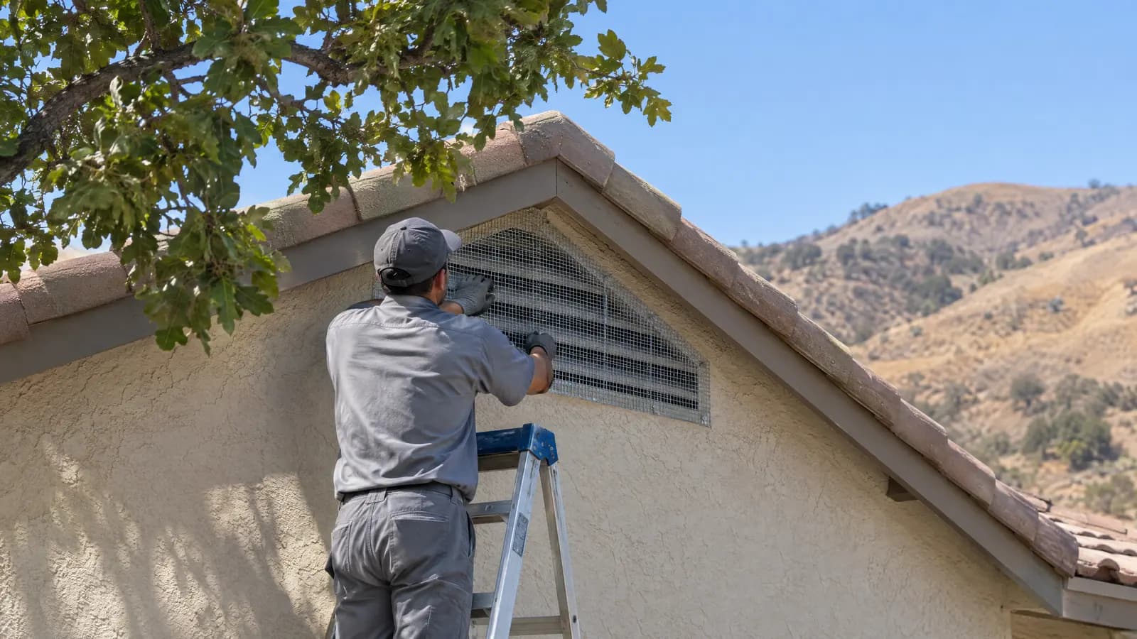 Technician on a ladder fitting steel mesh over the attic gable vent of a stucco ranch house near brown hills