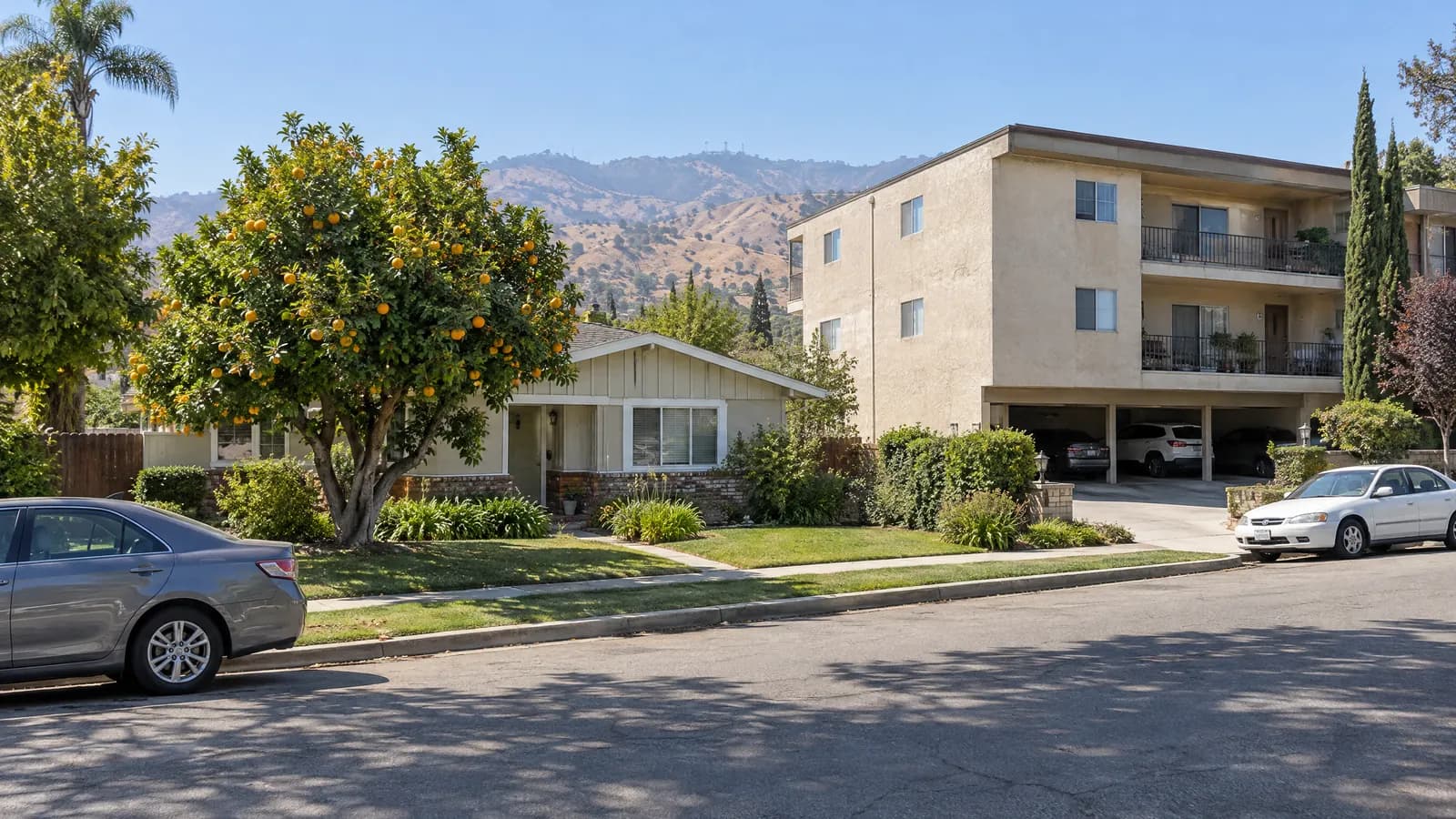Sunny Northridge street with a low 1950s ranch house and a mature orange tree in the front yard, beside a three-story stucco apartment building with carport parking, dry foothills on the horizon