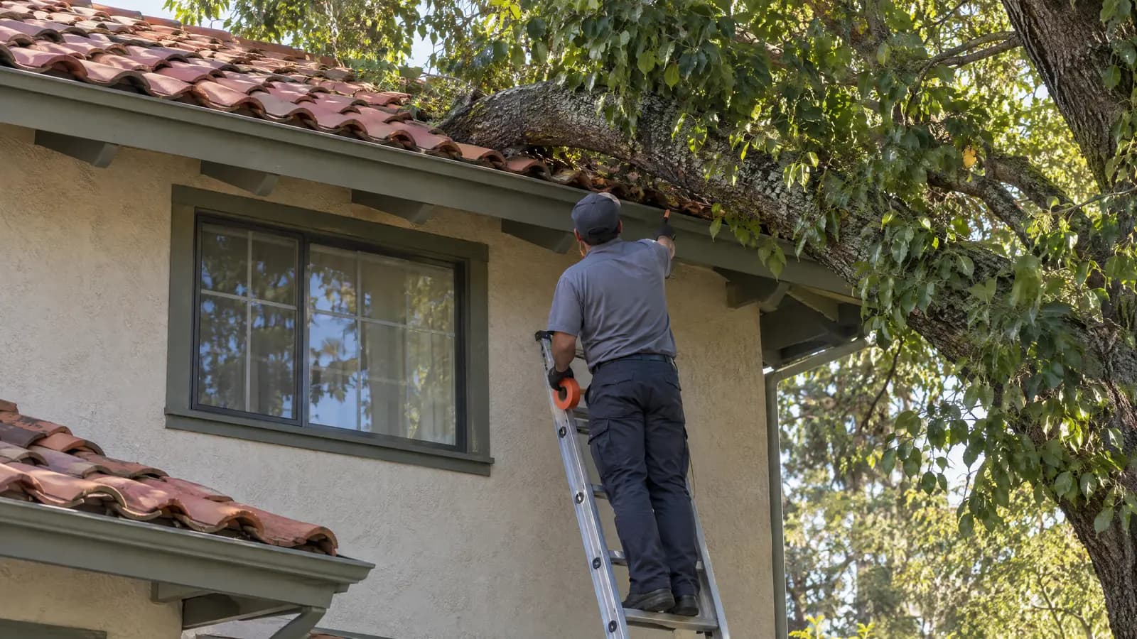 Technician on a ladder inspecting a heavy tree limb that rests on the clay-tile roof of an older two-story home, marking where the branch gives rats access