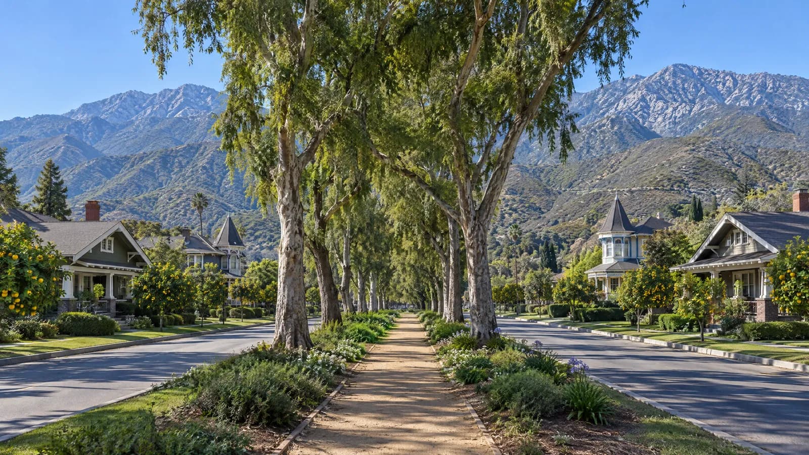 Wide tree-lined boulevard median with tall shade trees and a dirt path, early 1900s Craftsman and Victorian homes behind lemon trees on both sides, and snow-dusted San Gabriel Mountains rising to the north in clear morning light